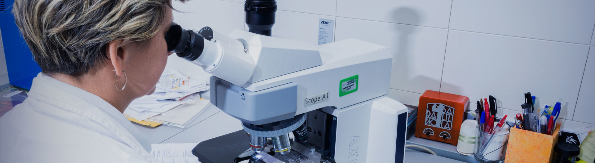 Il centro prelievi e il laboratorio analisi del sangue ottengono la certificazione ISO 9001 laboratorio elenco esami head