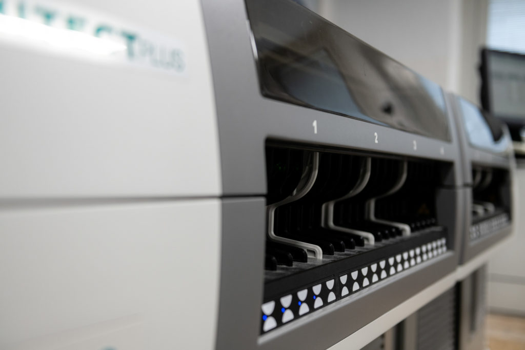 Sant Anna-31 Wer sind wir svg+xml;charset=utf