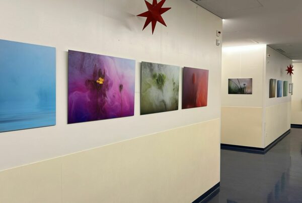 “Fiori nell’acquario”: l’esposizione del fotografo Franz Spiess nel Centro Chirurgico St. Anna. IMG 20241221 WA0001